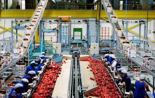 algo3d antinuisible 94,Paris,77,78,91,92,93,94,95,28,45