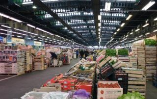 algo3d antinuisible 94,Paris,77,78,91,92,93,94,95,28,45