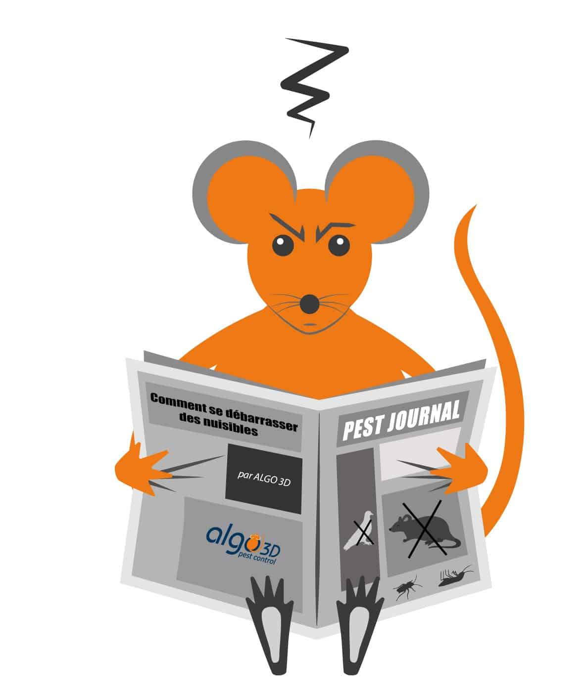 anti rat deratiation 94 deratisation 75 se debarrasser des rats lutte contre les rats anti nuisible